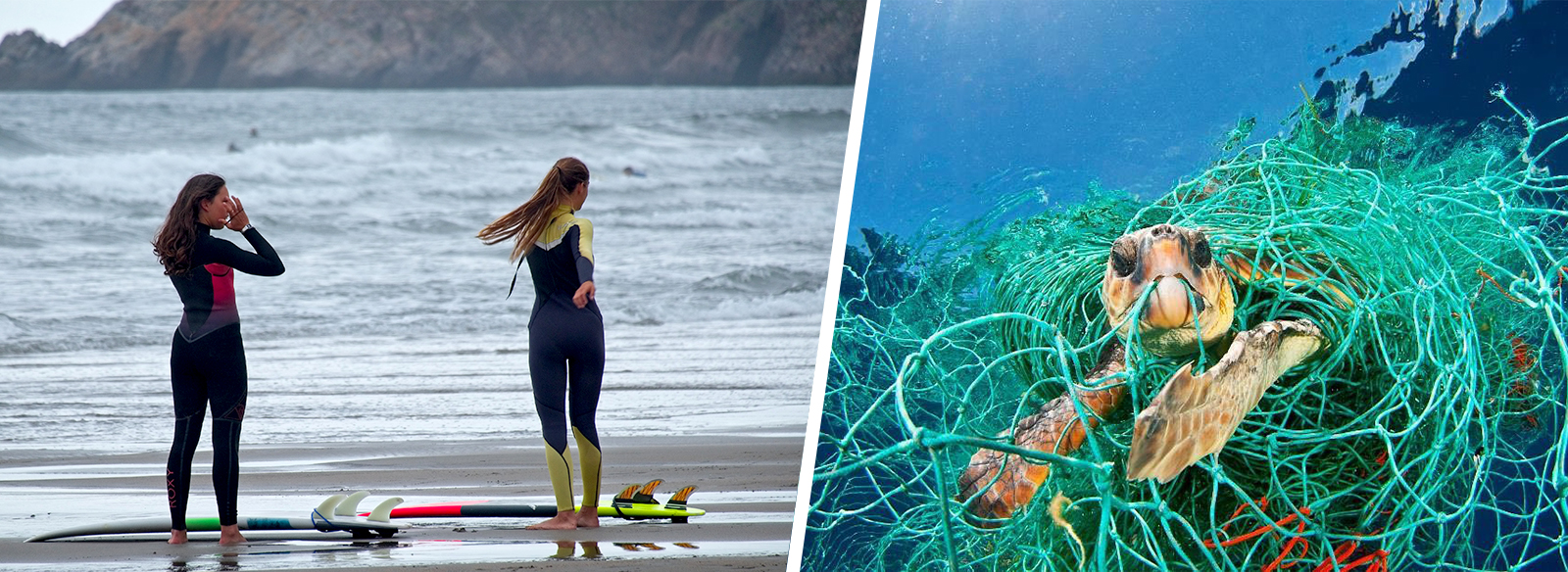 OceanZen: Empowering Women Who Loves to Take Care of the Ocean - Seams For Dreams