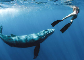 OceanZen: Empowering Women Who Loves to Take Care of the Ocean - Seams For Dreams