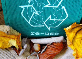 SFD-Founders-Note-Seams-for-Dreams-1