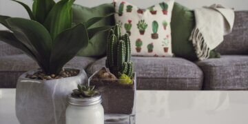 DIY SERIES: CONCRETE PLANTERS